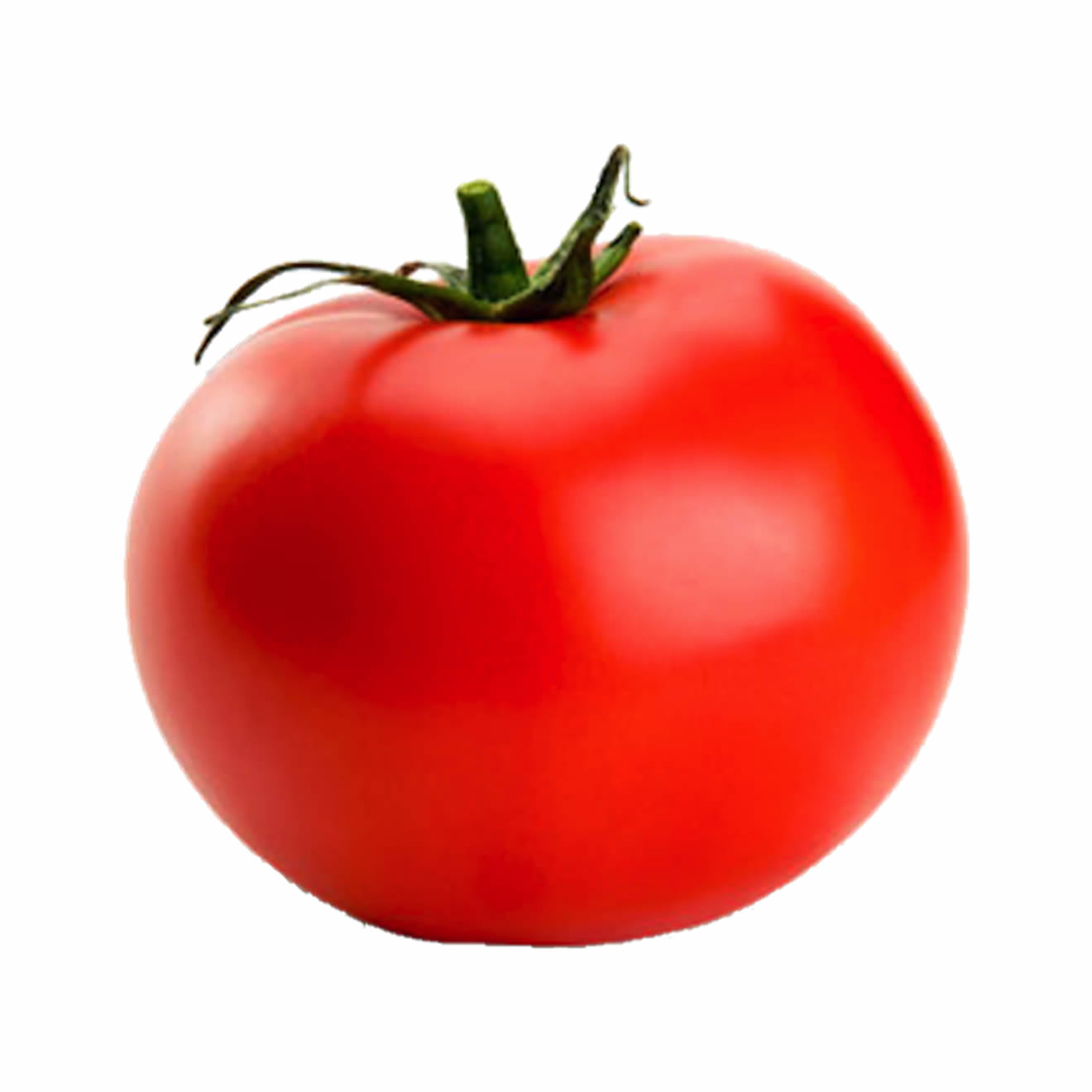 Tomato Frasada Food tomato-frasada-food